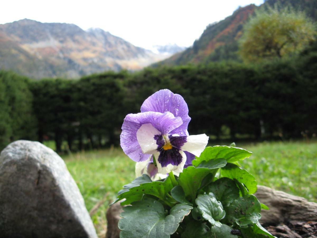Chalets Pyrene Mont-Blanc Chamonix ภายนอก รูปภาพ